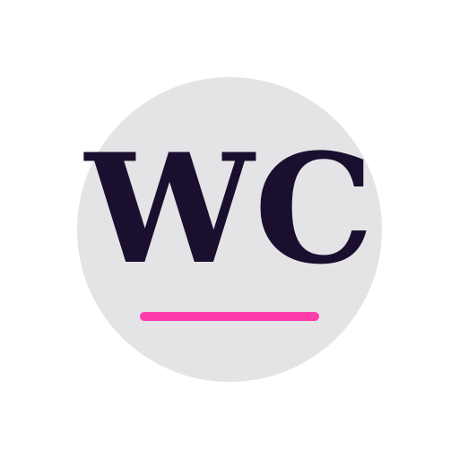 Weber Chimney Services logo